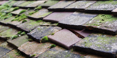 Everton roof repair costs